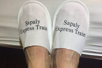Luxurious cabin interior with leather seats and modern amenities on the Sapaly Express Train Hanoi to Lao Cai Sapa