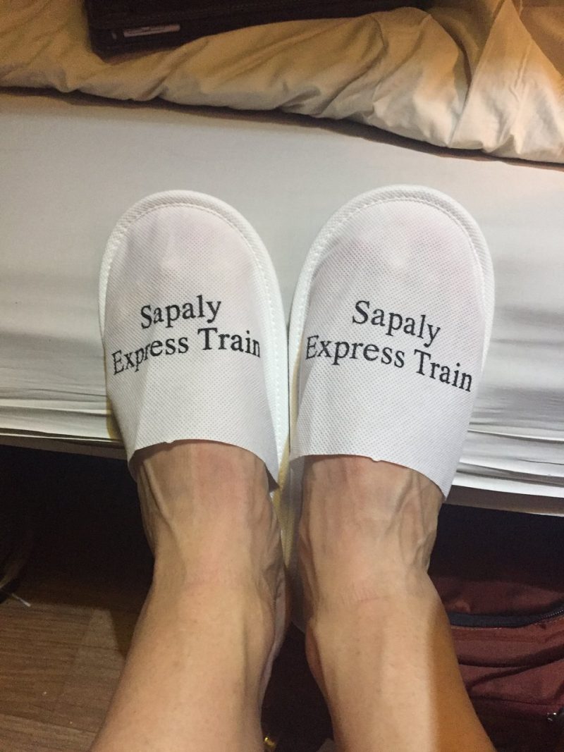 Luxurious cabin interior with leather seats and modern amenities on the Sapaly Express Train Hanoi to Lao Cai Sapa