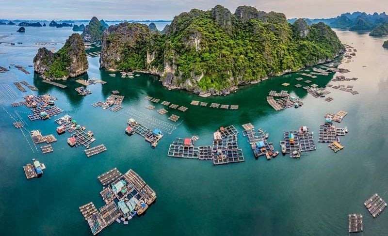 Aerial view of Cua Van floating village in Ha Long Bay