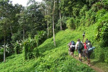 Hikers exploring the lush trails of Ba Vi Mountain, showcasing the natural beauty and adventure opportunities in Vietnam.