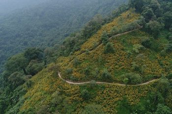 Stunning mountain view from Ba Vi Mountain, showcasing the natural beauty of Vietnam.