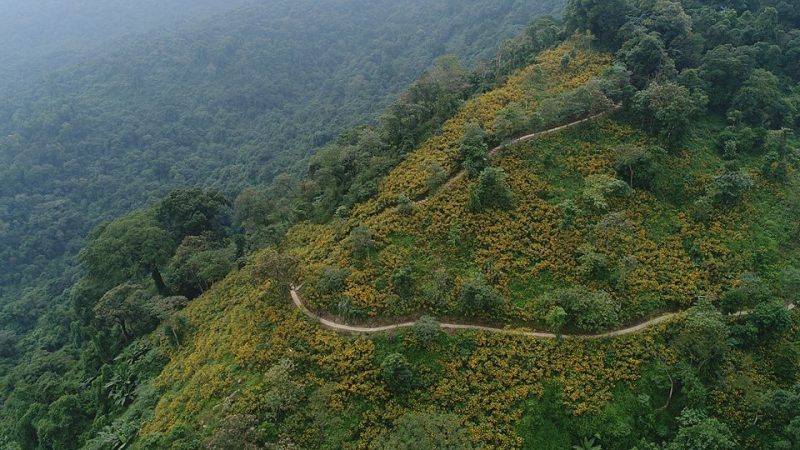 Stunning mountain view from Ba Vi Mountain, showcasing the natural beauty of Vietnam.