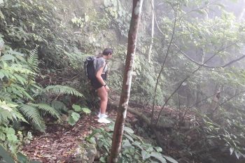 Hikers trekking through the dense forest of Ba Vi Mountain, showcasing Vietnam's natural beauty and adventure opportunities.