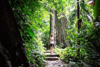 Tourists taking photos under a large tree in Cuc Phuong National Park, highlighting the park's natural beauty and towering trees.