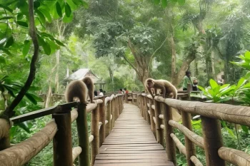 Exotic wildlife in Cuc Phuong National Park, highlighting Vietnam's natural diversity.