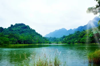 Serene lake in the middle of the forest at Cuc Phuong National Park, showcasing Vietnam's natural beauty.