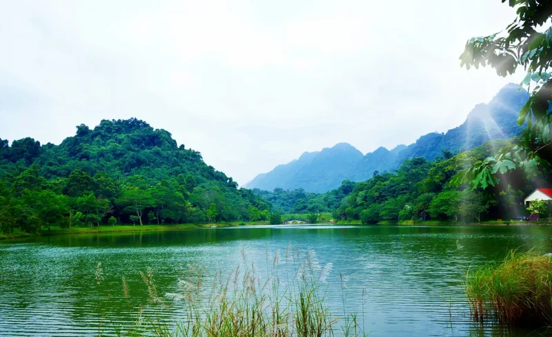 Serene lake in the middle of the forest at Cuc Phuong National Park, showcasing Vietnam's natural beauty.