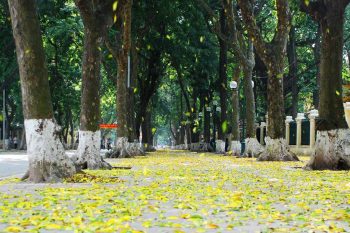 Little Paris in Hanoi Tour Vietnam LuxcoTravels French architecture historical sites guided exploration