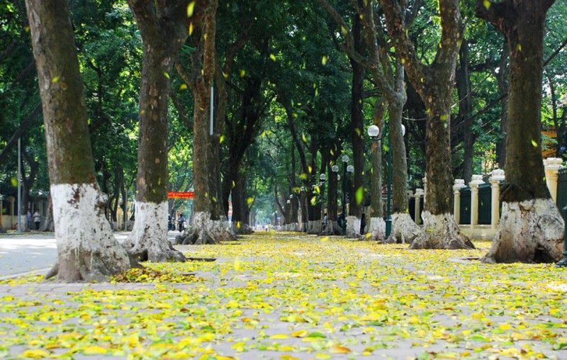 Little Paris in Hanoi Tour Vietnam LuxcoTravels French architecture historical sites guided exploration