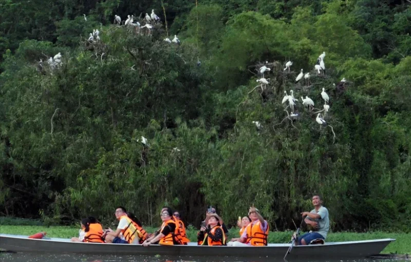 Tourists on a boat watching birds in flight at Thung Nham, showcasing Vietnam's natural beauty and wildlife.