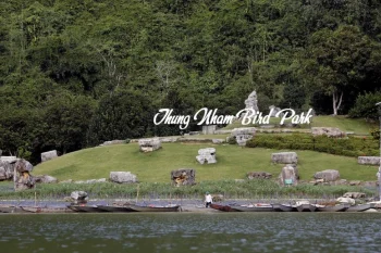 Panoramic view of Thung Nham, showcasing the lush landscapes and rich biodiversity of Vietnam.