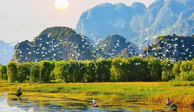 Birds flying over Van Long Natural Reserve, showcasing the area's rich biodiversity and natural beauty.